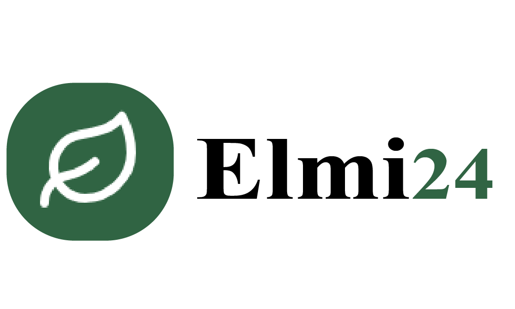 Elmi24-logo-01