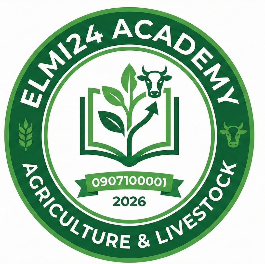 WhatsApp Image 2026-02-16 at 11.08.57 PM (1)